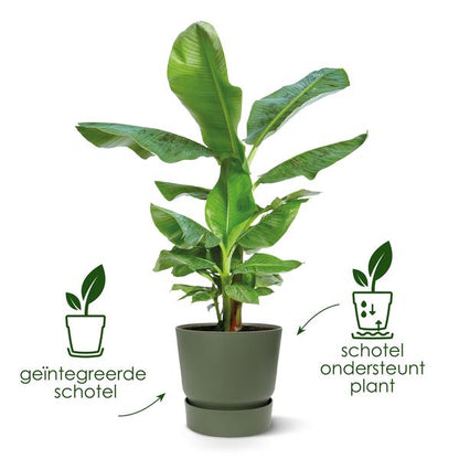 Pot elho Greenville Round groen